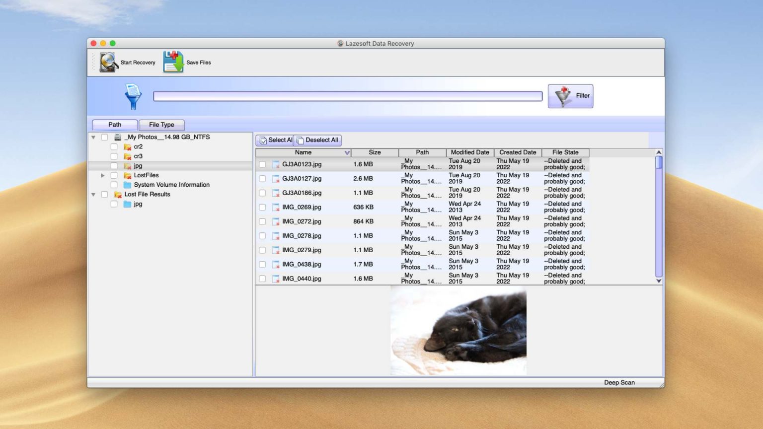 Lazesoft mac data recovery backyard baseball download mac free