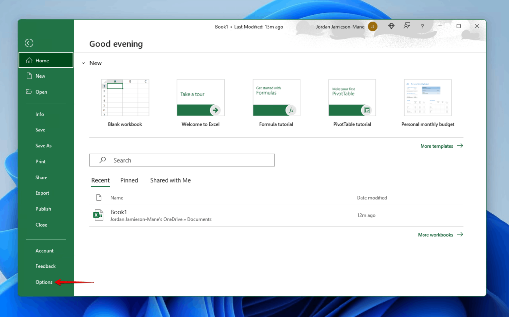 How to Recover Deleted or Lost Excel Files (2024)